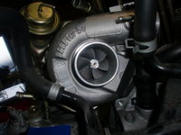CIMG0510.JPG