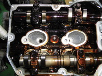 CIMG0665.JPG