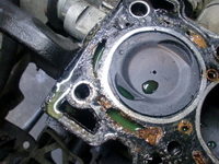 CIMG0945.JPG