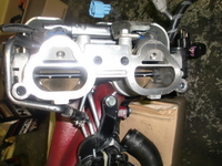 CIMG5989.JPG