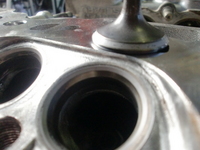 CIMG6506.JPG