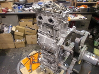 CIMG6531.JPG
