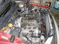 CIMG7431.JPG